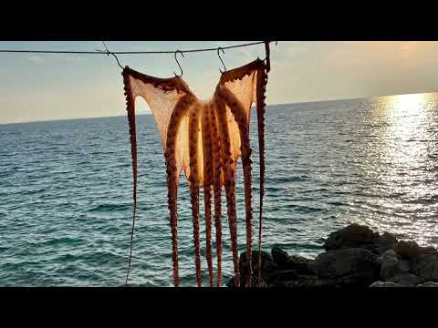 Kroatien Insel Pag Olea Camping