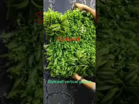 Green Artificial Vertical Garden