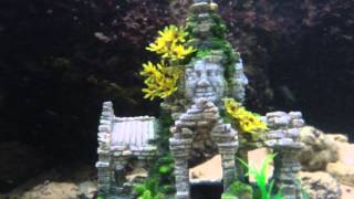 City Beneath the Sea preview