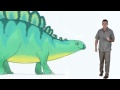 Stegosaurus Dinosaur Train The Jim Henson Company