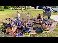 Fireworks At The Lake 4th Of July MONSTER BACKYARD DISPLAY