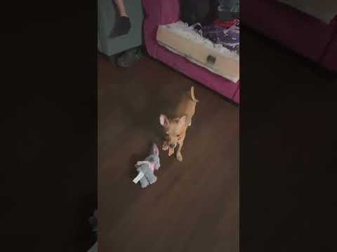 19 de noviembre de 2023