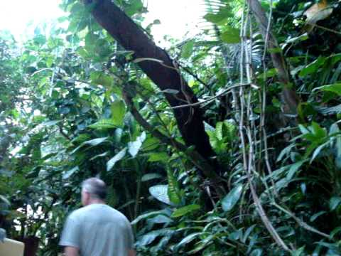 Casa Isabel Boutique Hotel-Puerto Vallarta, Mexico