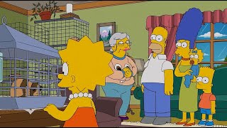 СИМПСОНЫ - НОВЫЙ ЧЛЕН СЕМЬИ