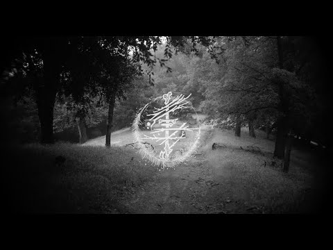 Roniit x Feather & Bone - Untethered (Lyric Video)