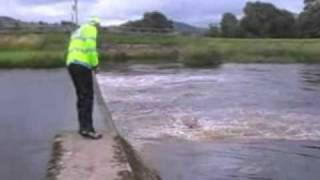 preview picture of video 'Weirs Kill - swift water rescue training.wmv'