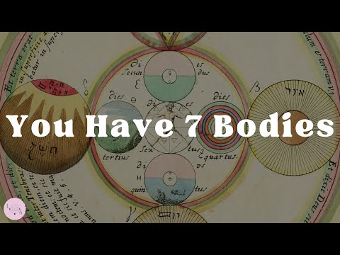 You Have Seven Bodies | Your Subtle Energy Body Explained
