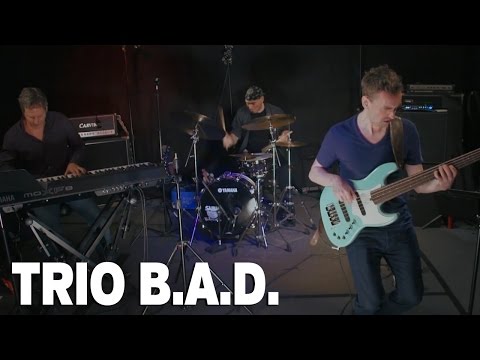 Trio B.A.D. with Steve Hass - 