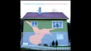 Baby Blue Sedan - The Bluegrass Tribute to Modest Mouse