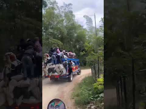 Asi suena una chiva bien cargada de café y campesinos en el municipio de Teruel Huila #campo #chivas