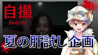 【自撮】夏のホラゲ集２本目！恐怖に耐えられるか…？