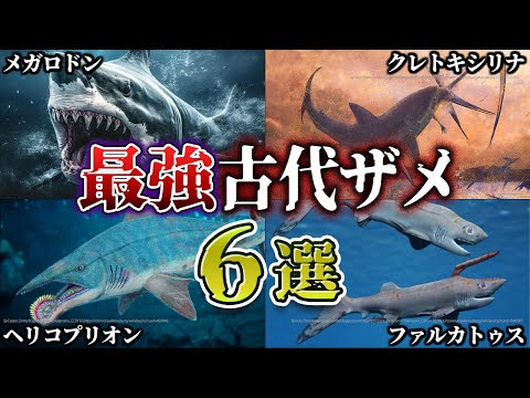 硬骨魚類について詳しく解説