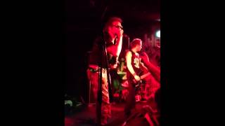 Animal - anti nowhere league