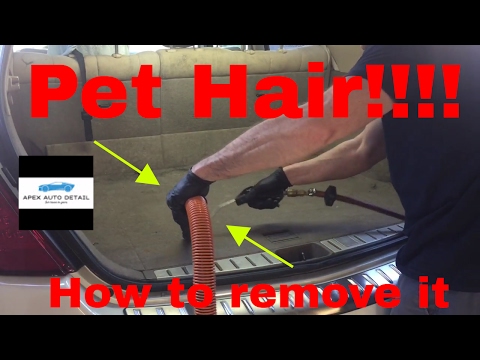 Tips and tools on how to remove pet hair from carpet and other fabric.