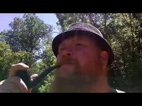 Puffin on my Dunhill shell