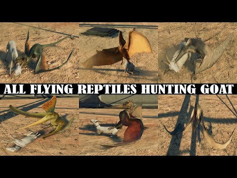 ALL FLYING REPTILES HUNTING A GOAT | JURASSIC WORLD EVOLUTION 2