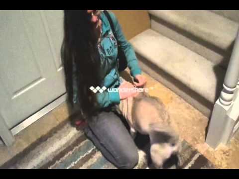 Mickey welcomes home Raquel!