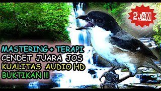 Download lagu Masteran Cendet Gacor Full Isian - Terapi Cendet Macet Bunyi Gemericik Air mp3 Download lagu Masteran Cendet Gacor Full Isian - Terapi Cendet Macet Bunyi Gemericik Air mp3