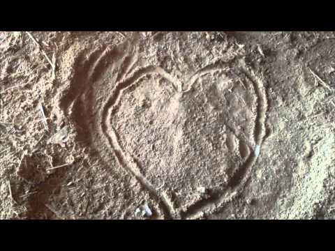 Estades Divesport 2014 - Ses Gurb