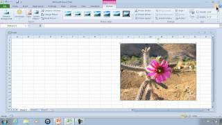 Excel 2010 Tutorial 1 - Getting Started And Free Download 60 Day Trial - Link