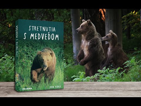 Vydavateľstvo DAJAMA | Podporte vydanie knihy Stretnutia s medveďom