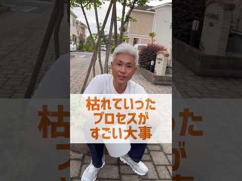 園芸 ラベンダーに関するよくある質問