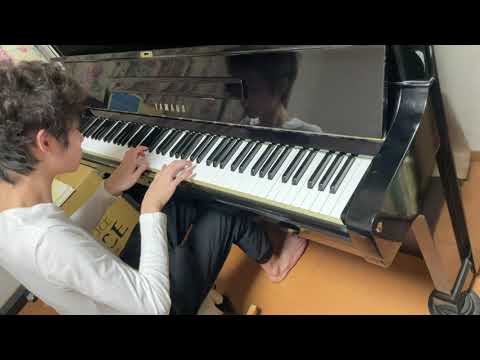 【Piano】Die Kunst der Fuge - Contrapunctus I - BWV1080 【J.S.Bach/The Art of Fugue】