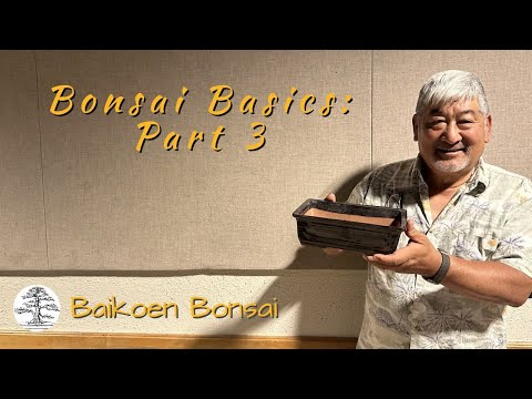 Bonsai Basics Part#3 with Lindsay Shiba - Bonsai Techniques - Baikoen Bonsai Club