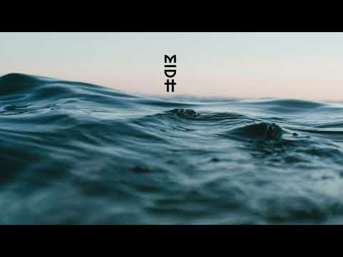 Flowers on Monday - Pirates of the Sun