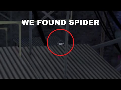 We Caught Spider in Gorilla Tag!