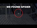 We Caught Spider in Gorilla Tag!
