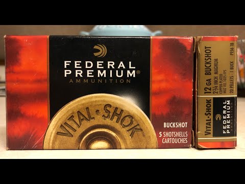 Federal 20 Gauge 7/8 Ounce Field \u0026 Target Load - Breakdown