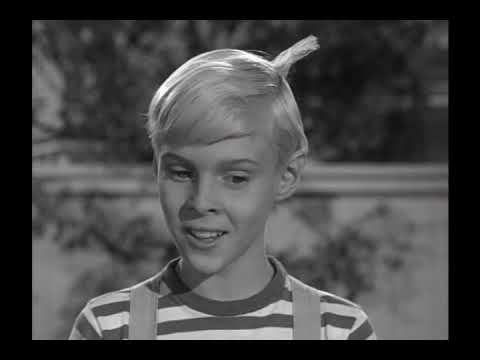 Dennis The Menace - S03E24 - A Dog's Life