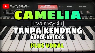 Download lagu CAMELIA (IRWANSYAH) || TANPA KENDANG KOPLO-BAJIDOR || PLUS VOKAL mp3 Download lagu CAMELIA (IRWANSYAH) || TANPA KENDANG KOPLO-BAJIDOR || PLUS VOKAL mp3
