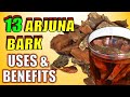 13 POWERFUL Arjuna Bark Health Benefits ARJUNA Powder Tea Uses