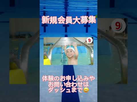  2023 年のスイミングプールのトレンドに合わせたガーデンファニチャー: 最適な快適さを生み出すための最良のアイデア  庭園