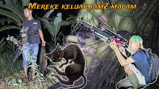 Download lagu HUNT THE MONKEY⁉️THE SOUND IS VERY SCARY, PENETRATING THE SILENCE OF THE NIGHT mp3 Download lagu HUNT THE MONKEY⁉️THE SOUND IS VERY SCARY, PENETRATING THE SILENCE OF THE NIGHT mp3