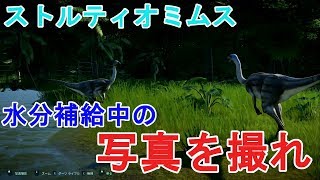 #03【スクープを狙え！！】PC版 ジュラシック・ワールド・エボリューション