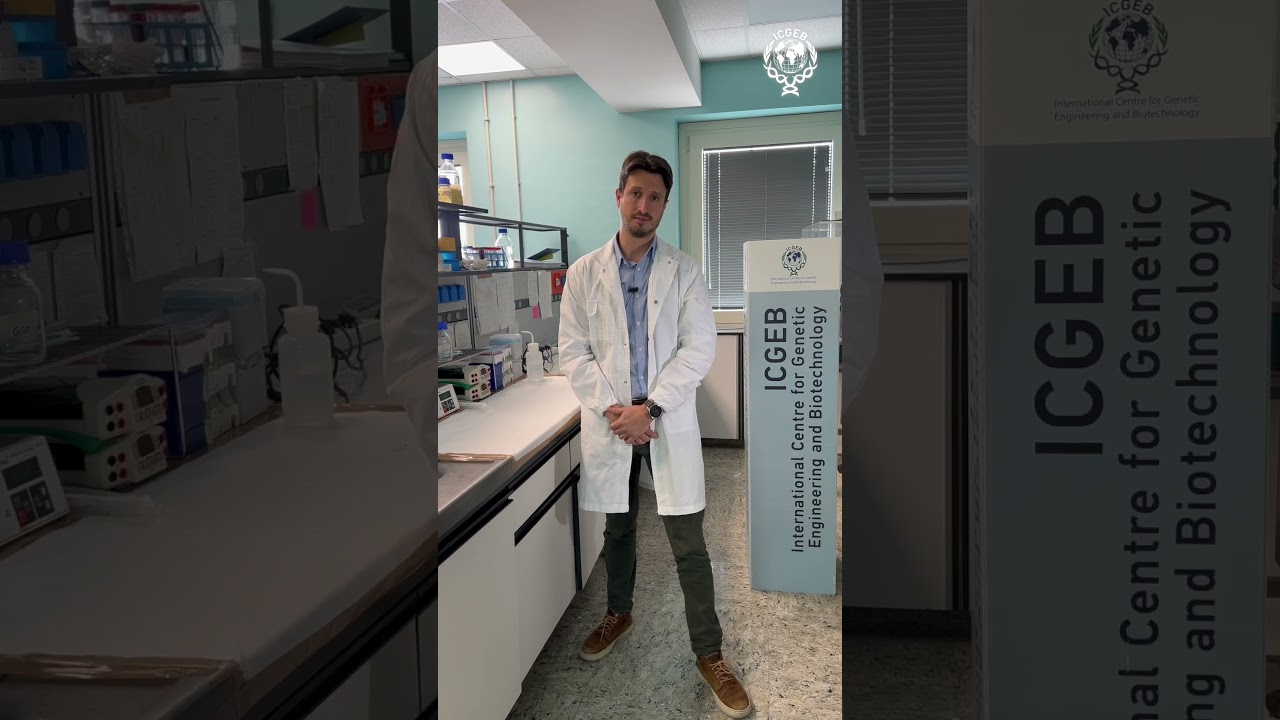 Quando il battito protegge: così il cuore frena i tumori