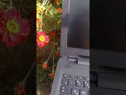 how to reset battery hp laptop