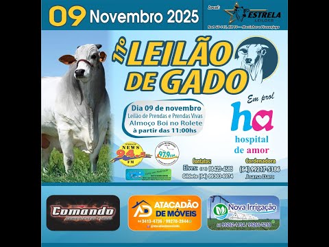 ESTRELA LEILÕES -  09 / 11  / 2025 -  10 HS. - Morrinhos  - Goiás