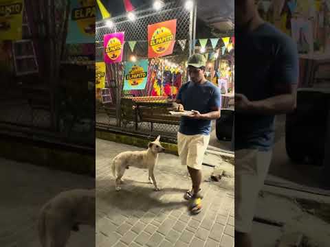 He's getting better. I never deny food to anyone here. #tena #napo #viraltiktok #adopt #adopted