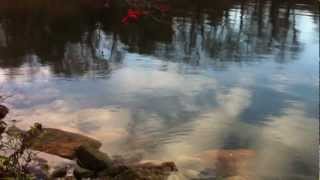 preview picture of video 'High Tide in Champlin's Cove Narragansett Salt Pond after Hurricane Sandy'