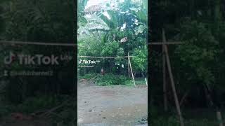 Download lagu story' wa hujan di sore hari...#hujanderas #hujan mp3 Download lagu story' wa hujan di sore hari...#hujanderas #hujan mp3