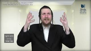 הדף היומי מסכת סוכה דף לו