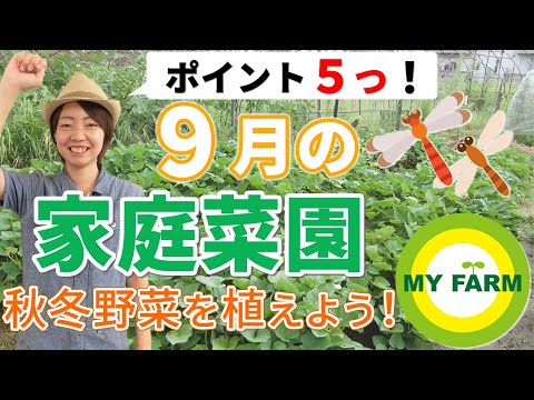  9月に蒔く種は何でしょうか？ 10種類の野菜と花が旬を迎えます！  庭園