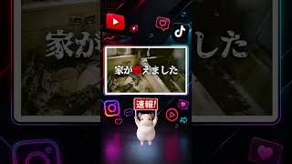 【速報】9月3日報告 5月下旬にガストーチ発火で自宅火災 きょんさん右手やけど 猫は無事