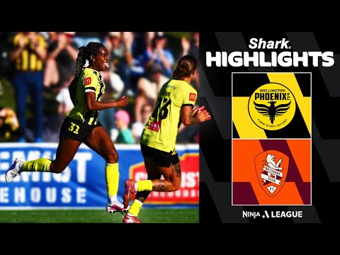 bg-highlight