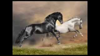 Don't Hold Back Your Love - Daryl Hall & John Oates