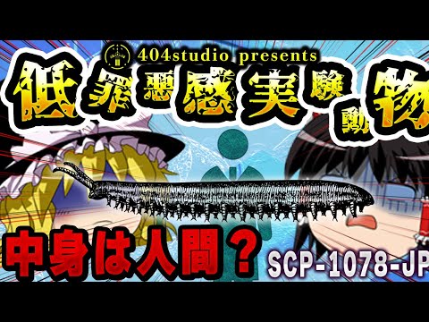 オルタリス・ルフィカウダ